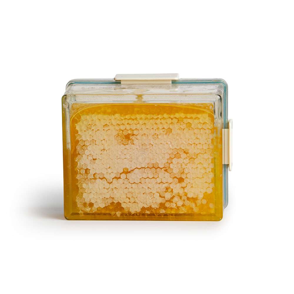 honeycomb