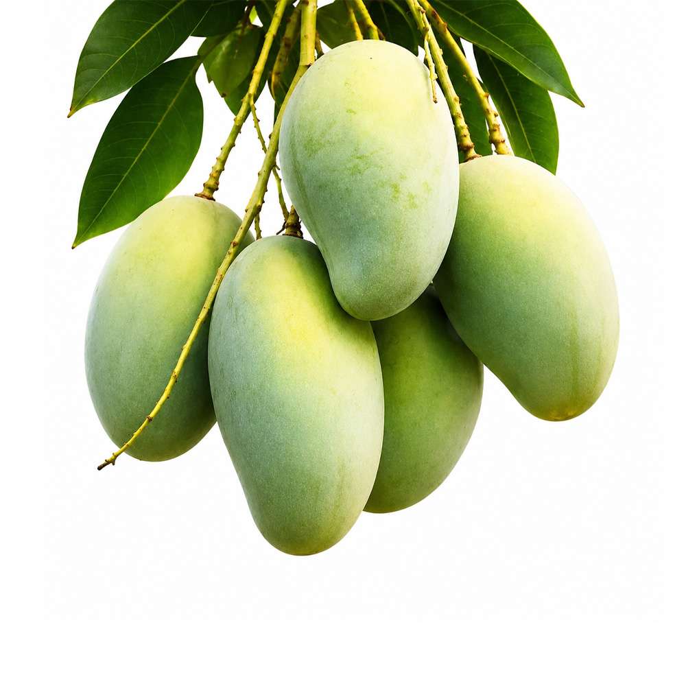 Amrapali Mango
